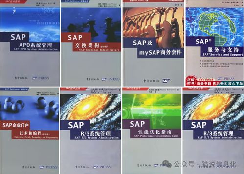 從擁有專業書的情況看國內外erp軟件廠商的生態差異